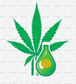 Cannabis Öl